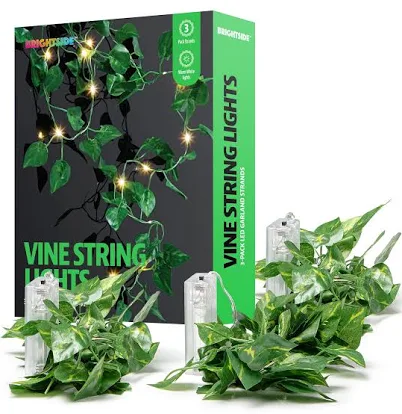 Brightside 3-pack LED Ivy Garland Lights