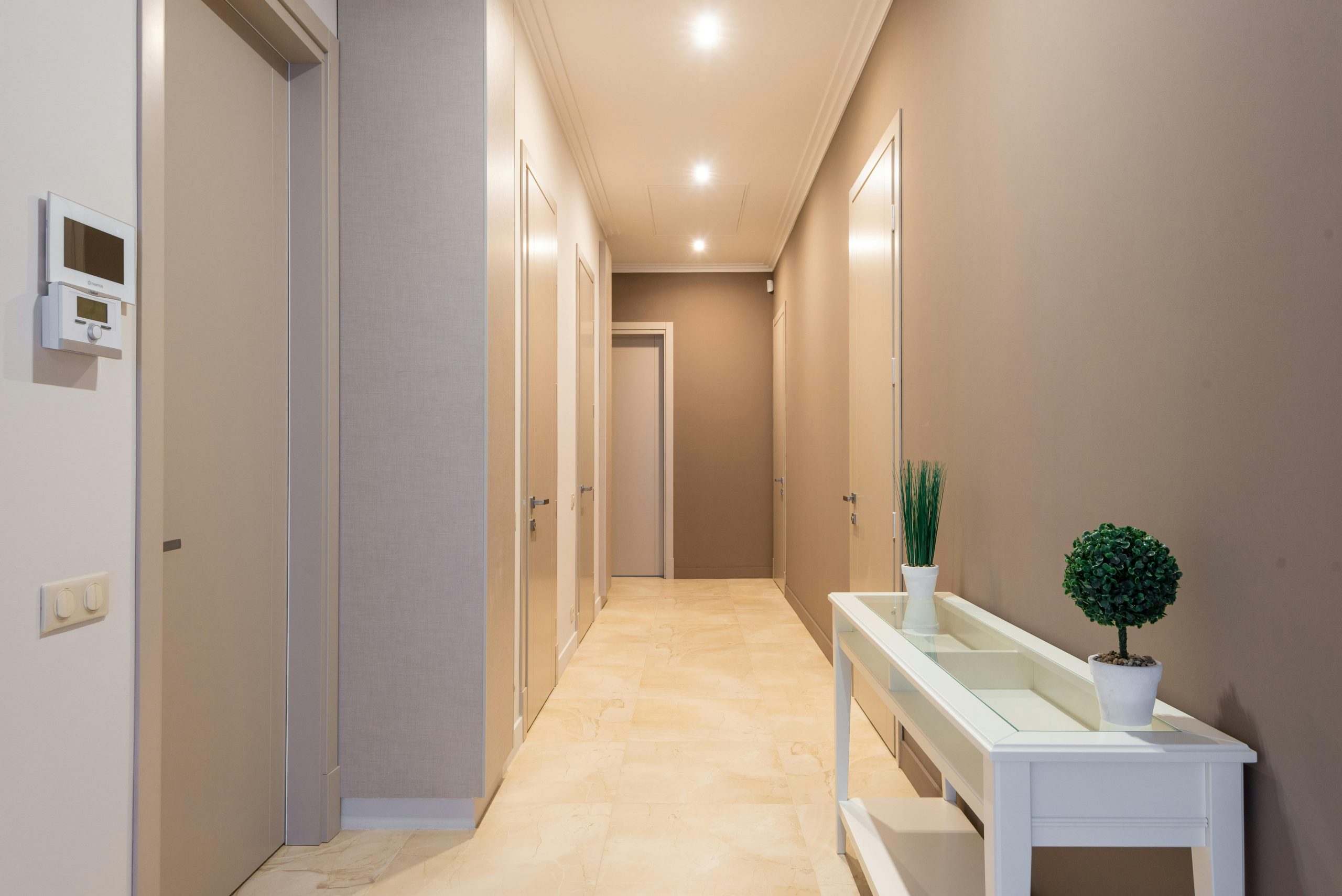 Empty spacious corridor of modern apartment building illuminated with ceiling lamps furnished white stand decorated with green plants in white pots