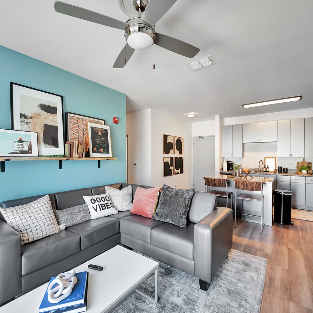 3-Bedroom Student Apartments | Rowe Living Near FSU