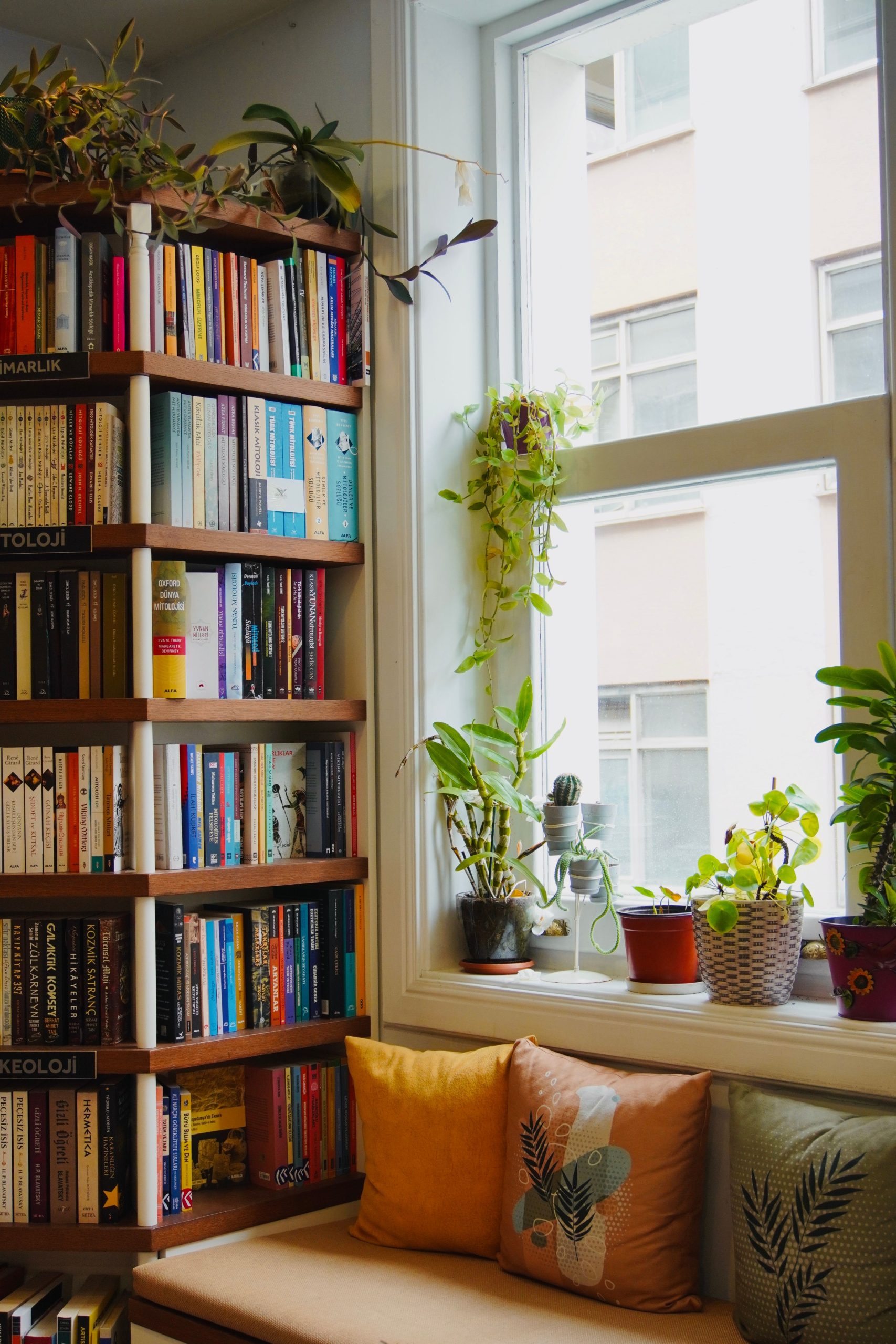 A cozy nook with bookshelves, plants, and cushions by a sunlit window, perfect for reading.