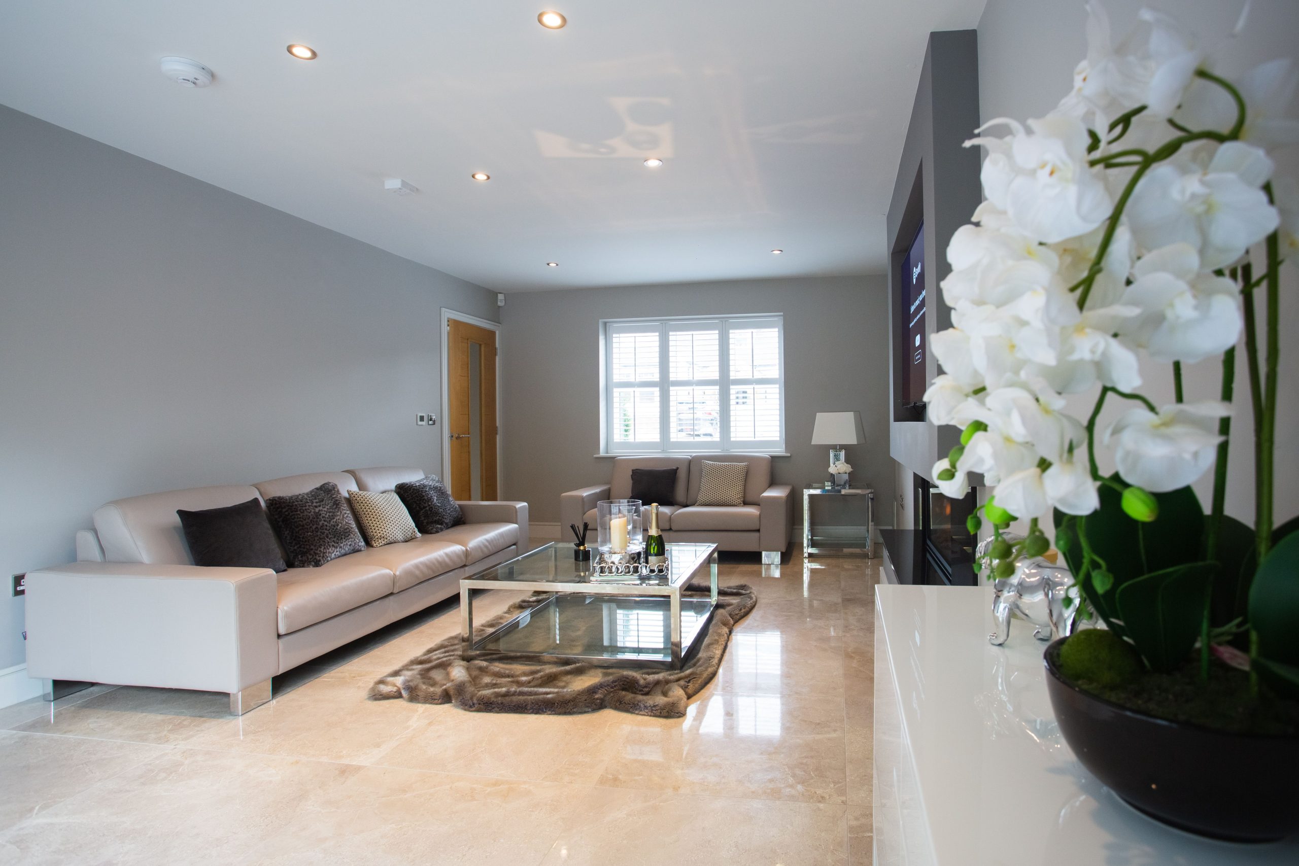 Beautifully designed modern living room featuring a white orchid and elegant decor in Colchester, UK.