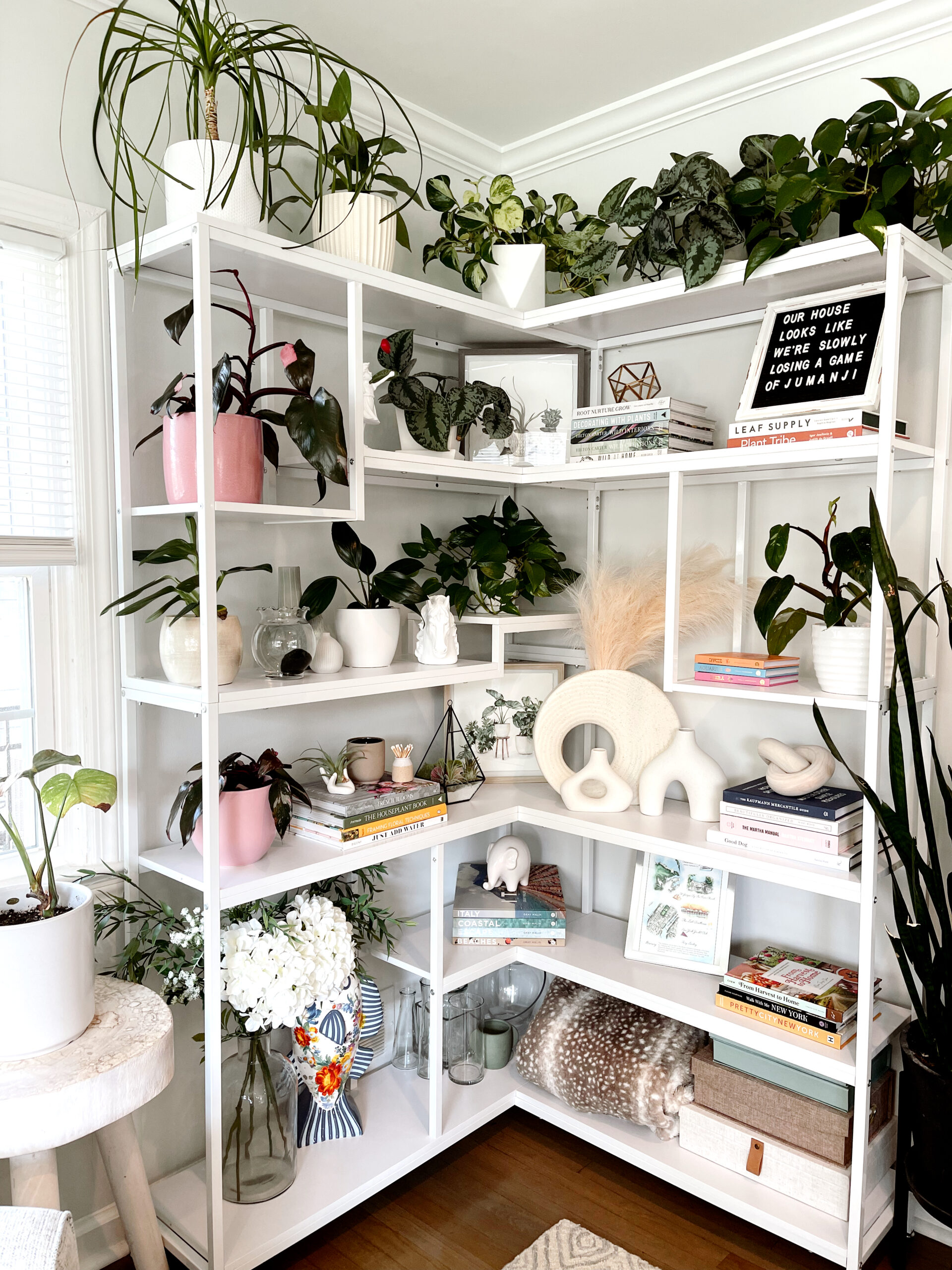 Bookshelf Styling With Plants -