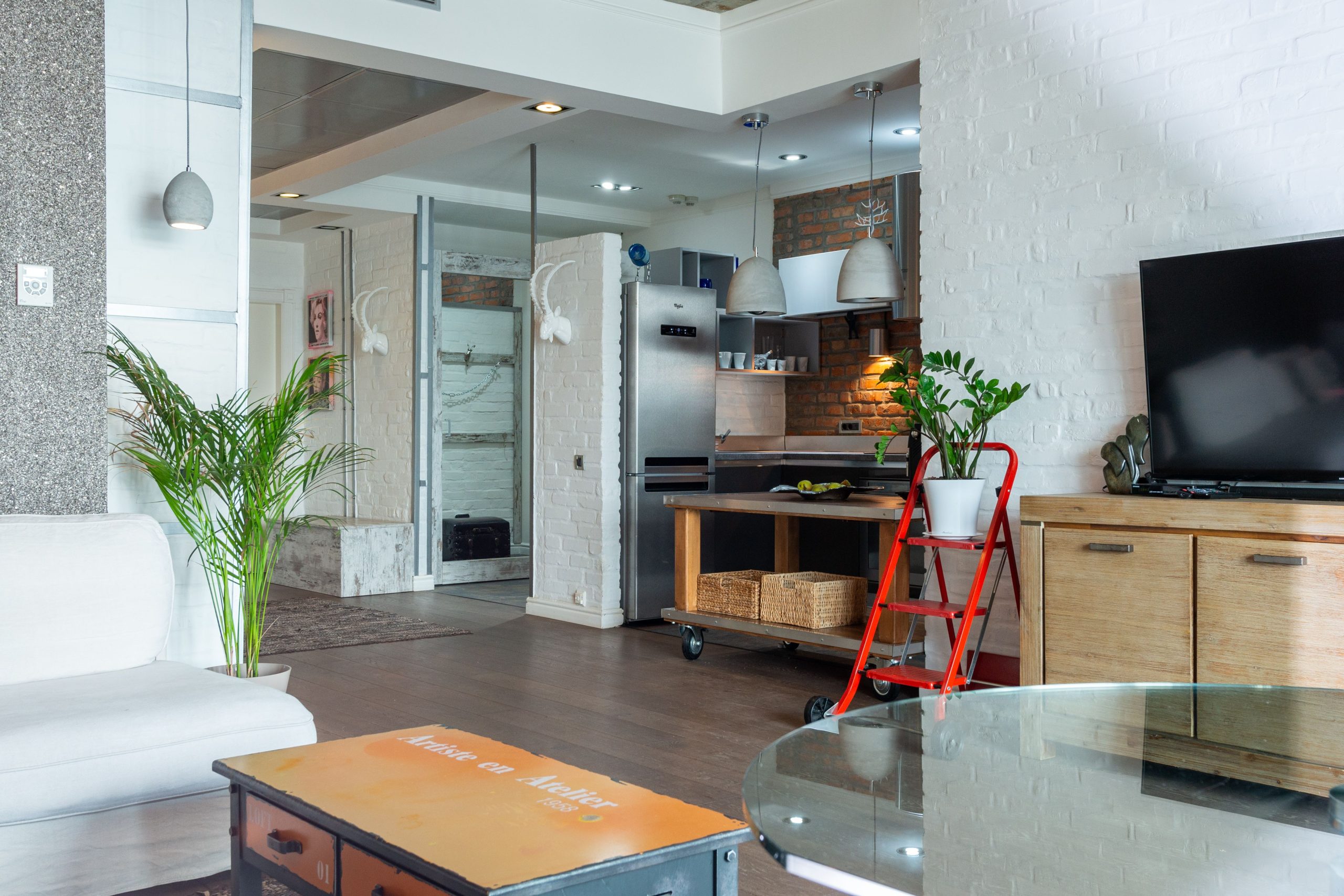 Bright, stylish living room with kitchen area, plants, and contemporary decor.